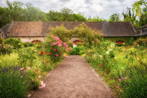 SPRING GREETINGS IN A GARDEN...