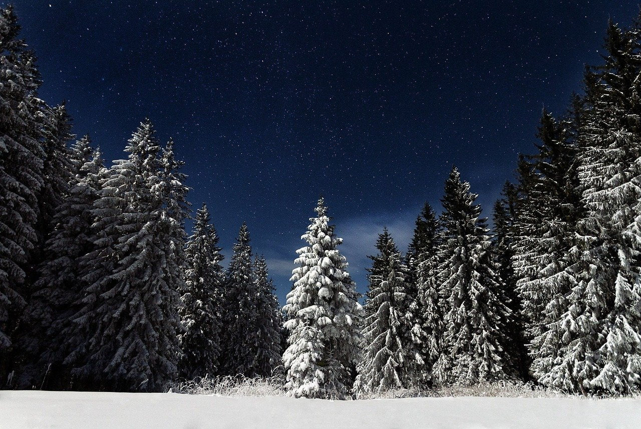 STARS OVER SILENT FIELDS...